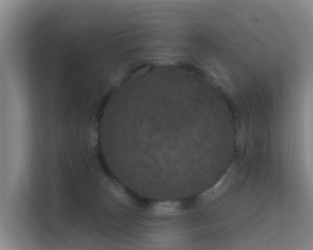 X0000111640179200907241118