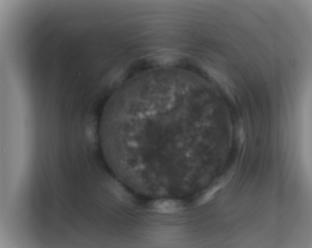 X0000111640181200907241118