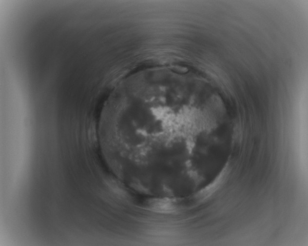 X0000111640182200907241118