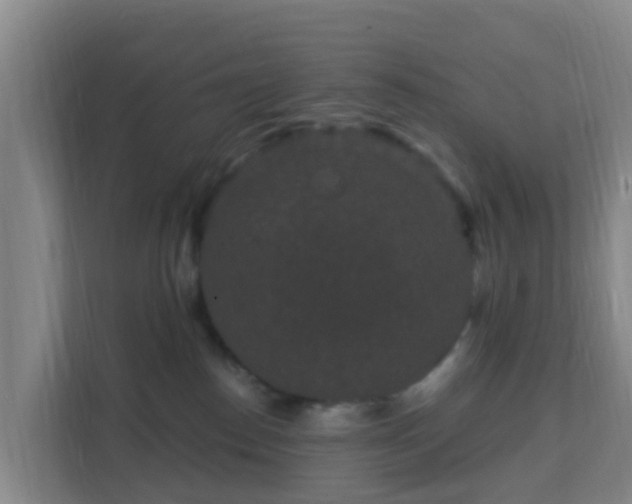 X0000111640186200907241118