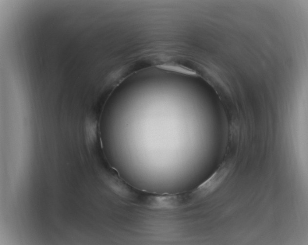 X0000111640188200907241118