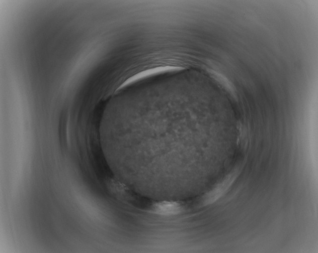 X0000111640189200907241118