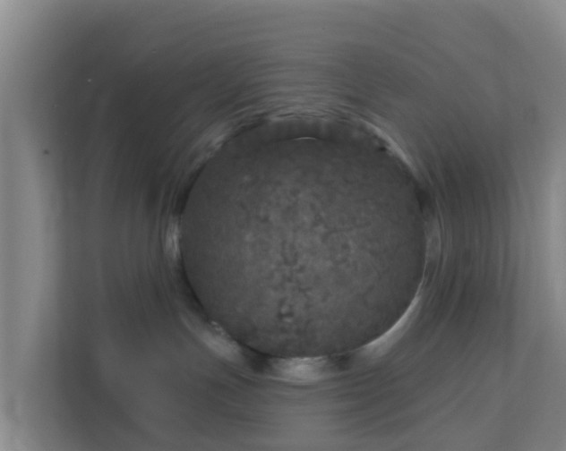 X0000111640191200907241118