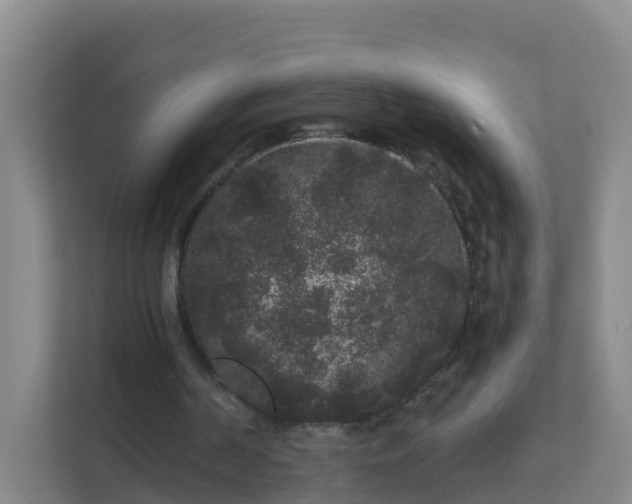 X0000111640194200907241118