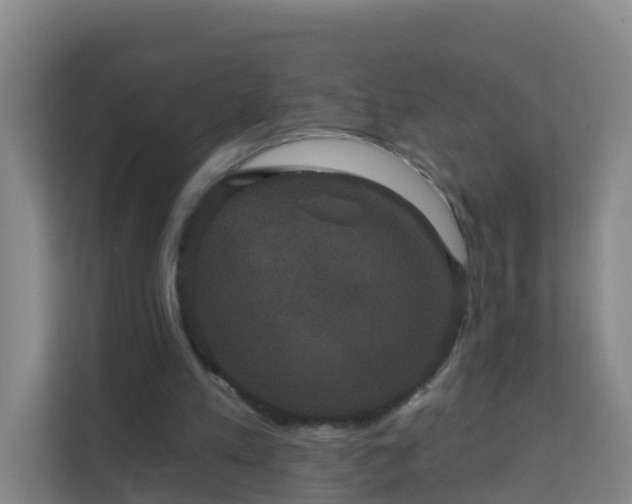 X0000111640197200907241118