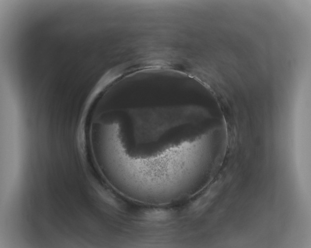 X0000111640198200907241118