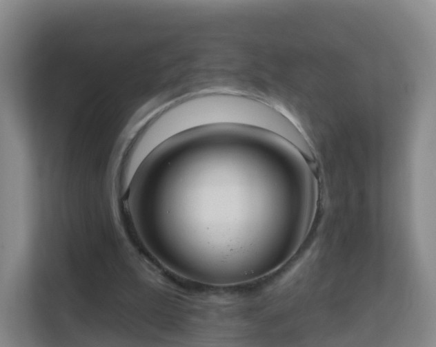 X0000111640199200907241118