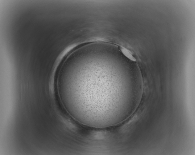 X0000111640200200907241118