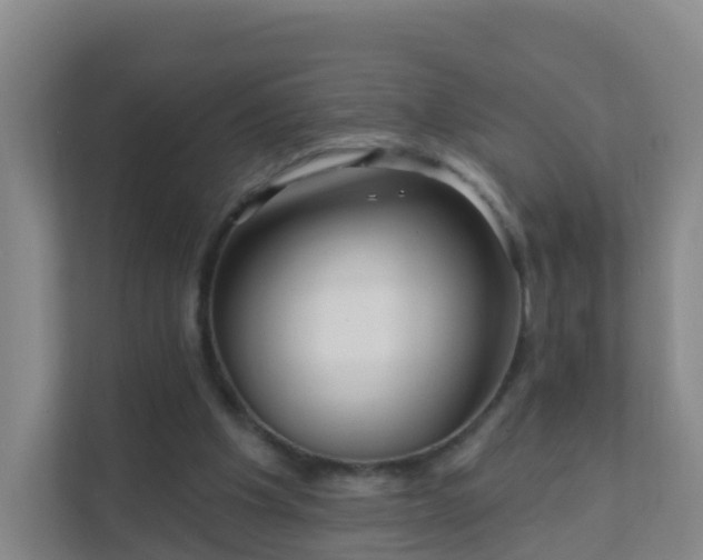 X0000111640201200907241118