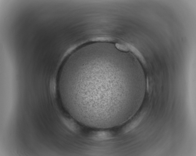 X0000111640204200907241118