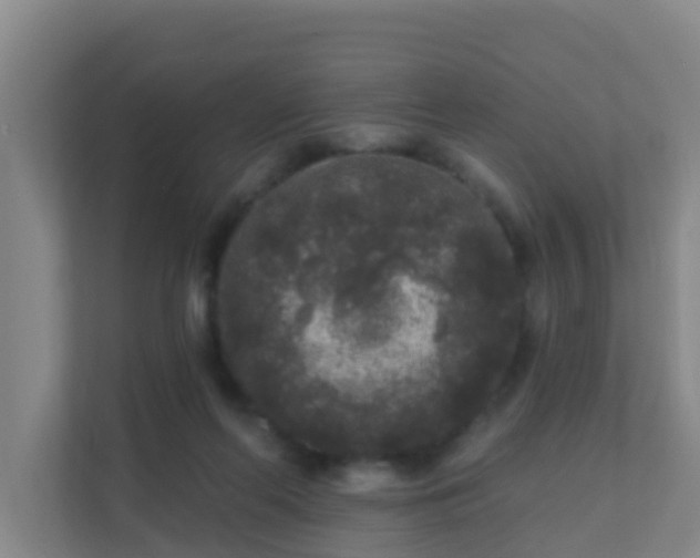 X0000111640214200907241117