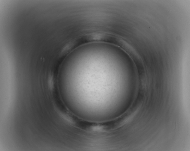 X0000111640216200907241117