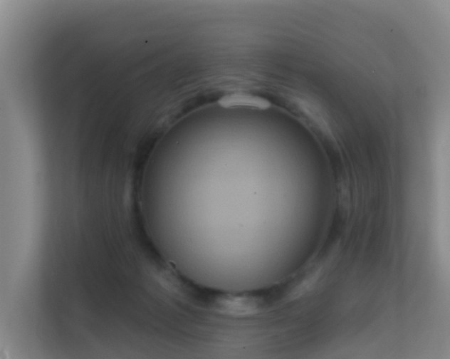 X0000111640221200907241117