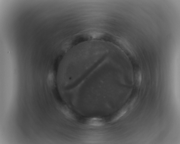 X0000111640222200907241117