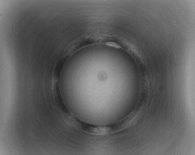 X0000111640225200907241117