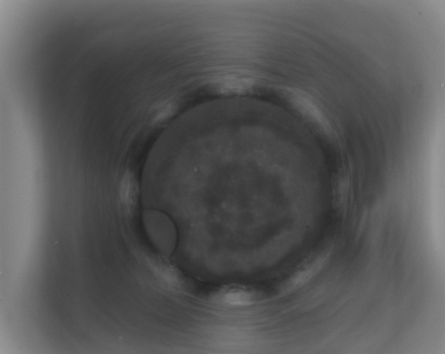 X0000111640228200907241117