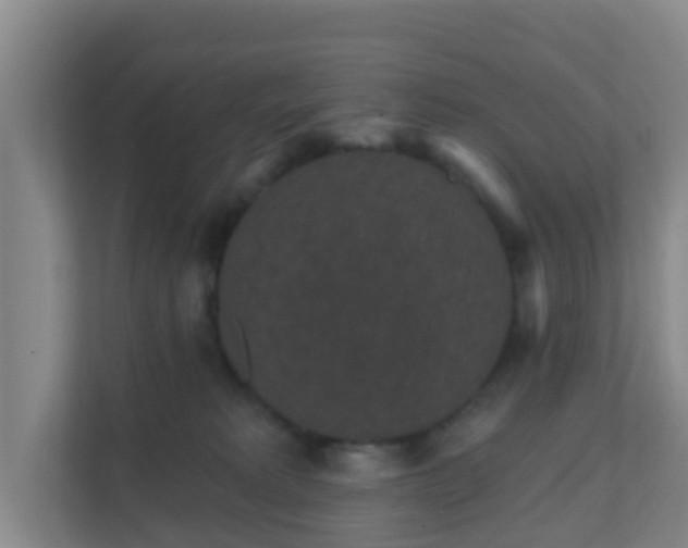 X0000111640229200907241117