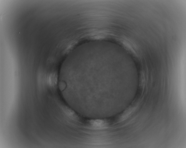 X0000111640230200907241117