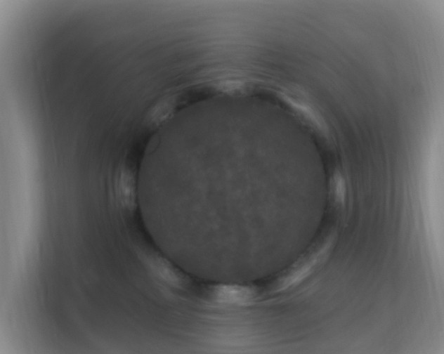 X0000111640234200907241117