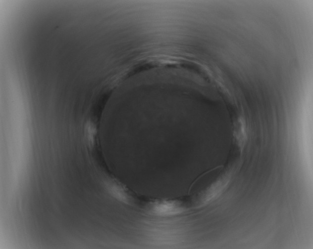 X0000111640235200907241117