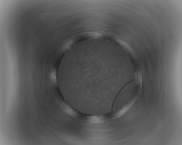 X0000111640238200907241117