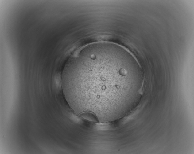 X0000111640240200907241117