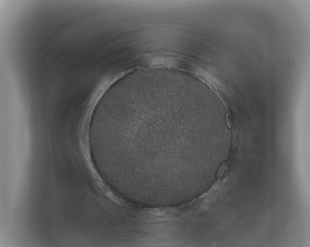 X0000111640241200907241117