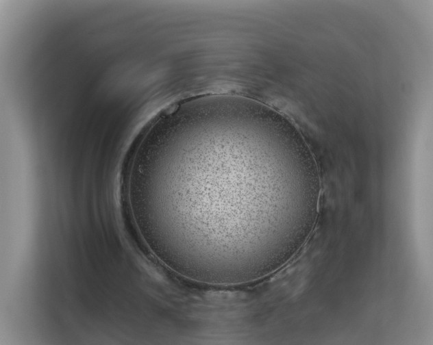 X0000111640242200907241117