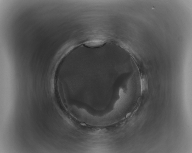 X0000111640243200907241117