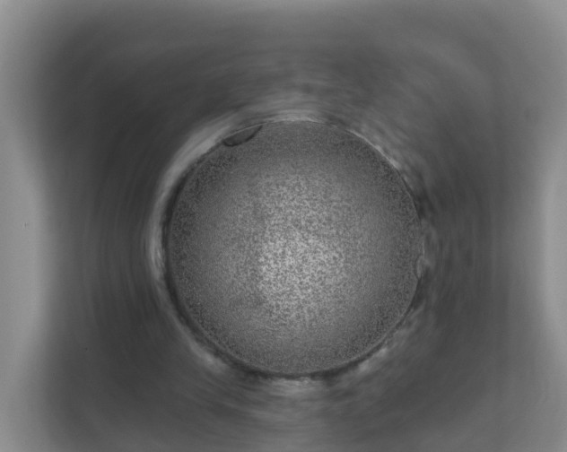 X0000111640245200907241117