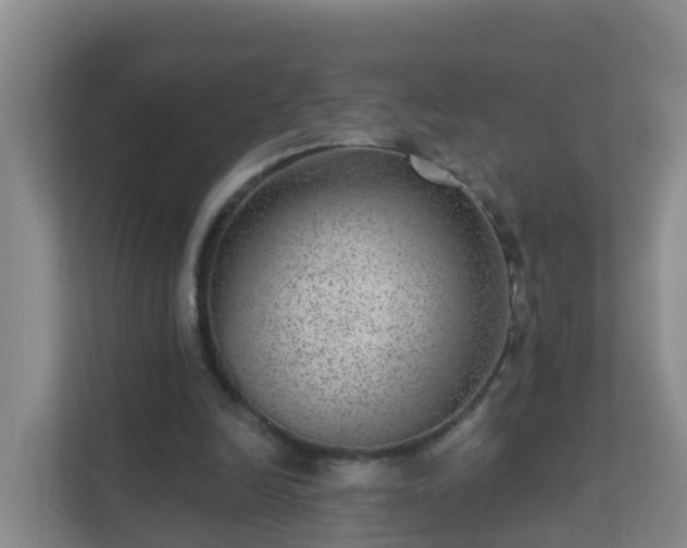 X0000111640246200907241117