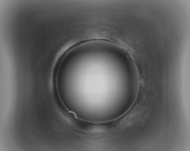 X0000111640248200907241117