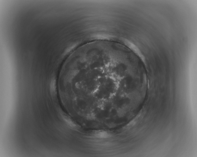 X0000111640249200907241117