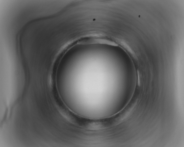 X0000111640252200907241117