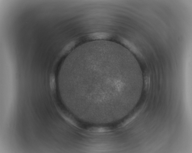 X0000111640254200907241117