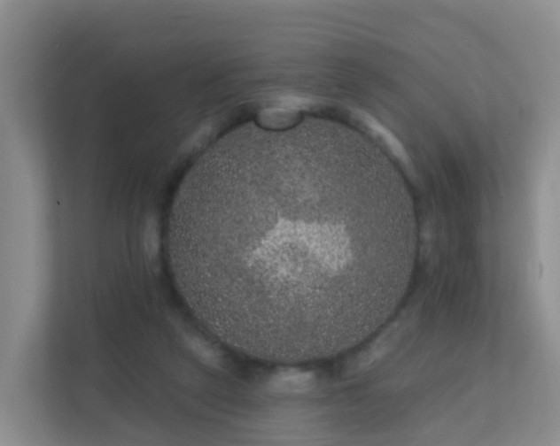 X0000111640257200907241117