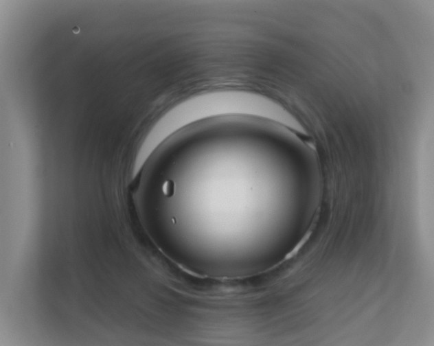 X0000111640260200907241117