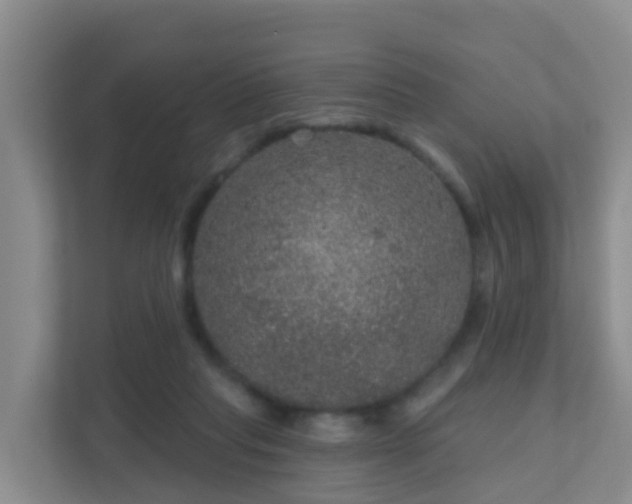 X0000111640261200907241117