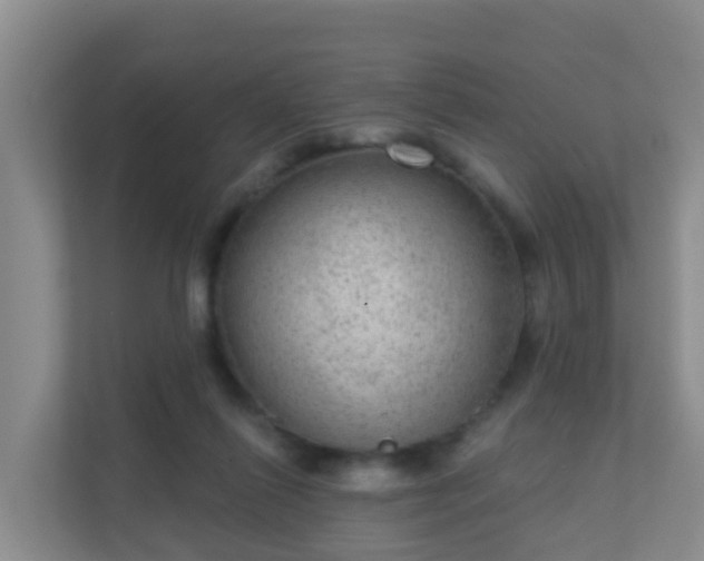 X0000111640262200907241117