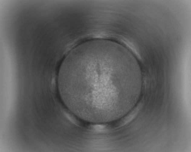 X0000111640265200907241117