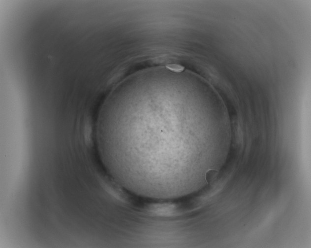 X0000111640266200907241117