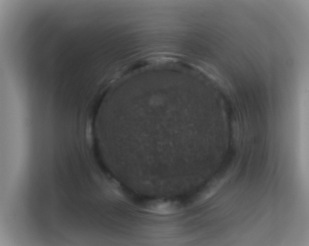 X0000111640267200907241117