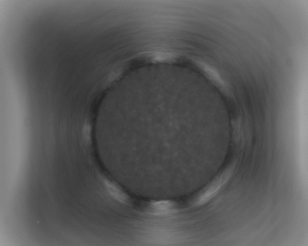 X0000111640269200907241117