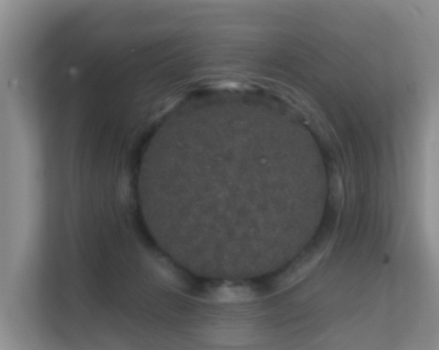 X0000111640270200907241117