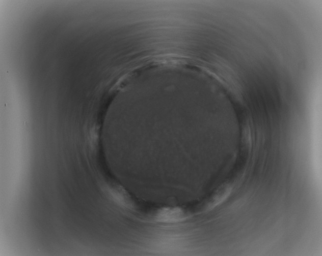 X0000111640271200907241117