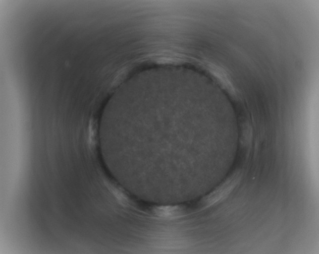 X0000111640273200907241117