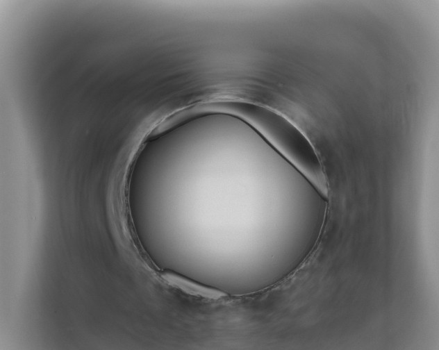 X0000111640289200907241116