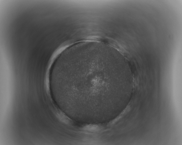 X0000111640294200907241116