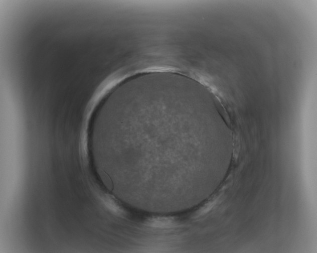 X0000111640296200907241116