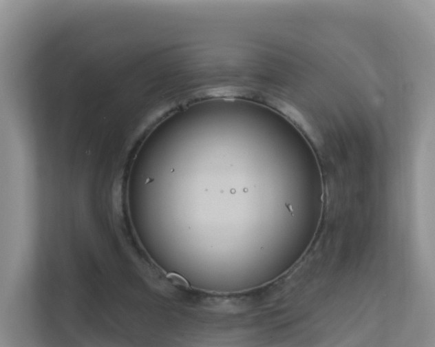 X0000111640297200907241116